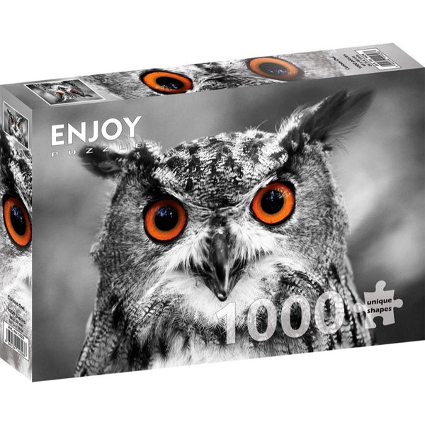 Enjoy Curious Owl 1000pc Jigsaw Puzzle